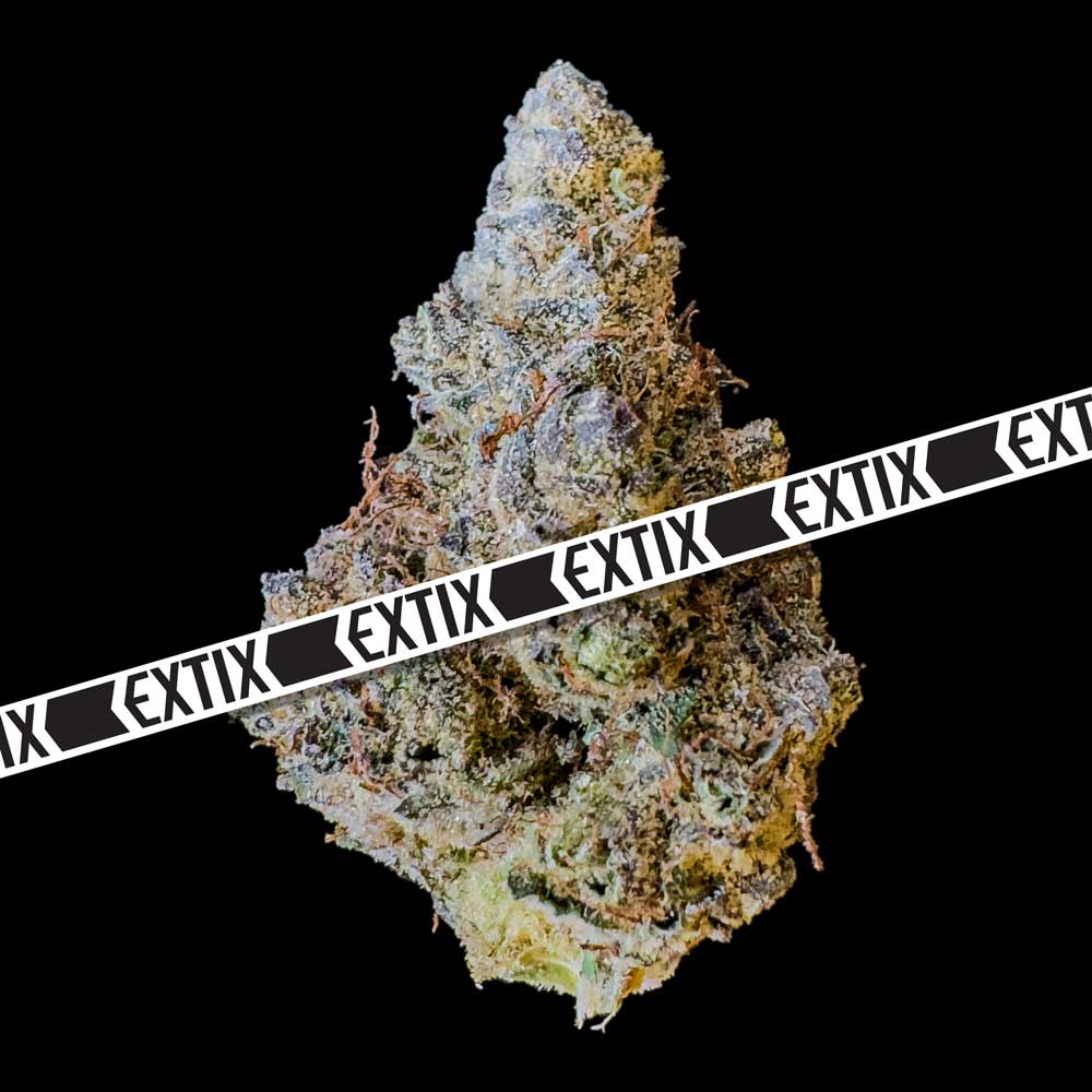 Roundhouse cannabis strain by EXTIX