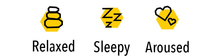 Lemon Snooze effects