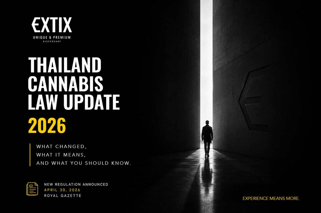Thailand Cannabis Law 2026: What the New Regulation Actually Means for Tourists, Customers, and the Future of Cannabis in Thailand