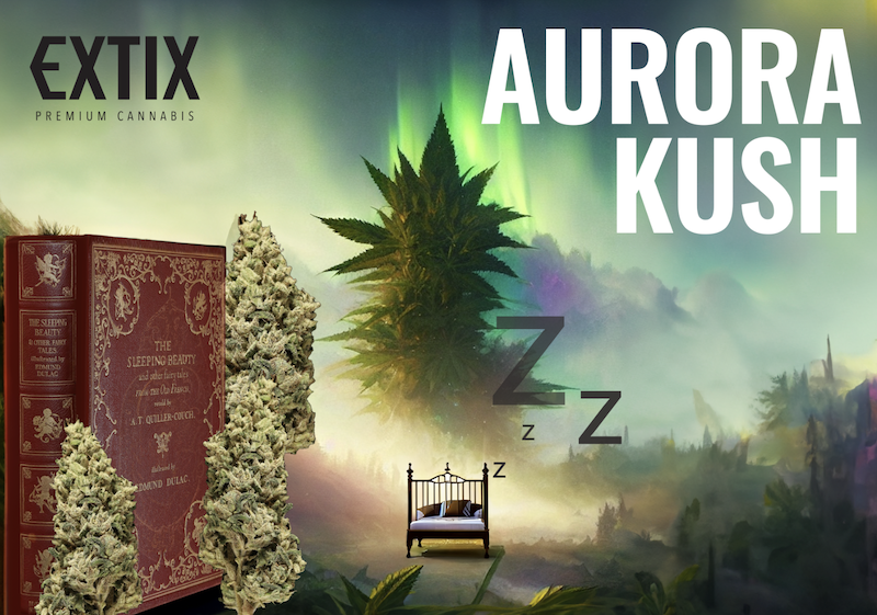 Aurora Kush: Embrace Deep Sleep and Unfocused Bliss