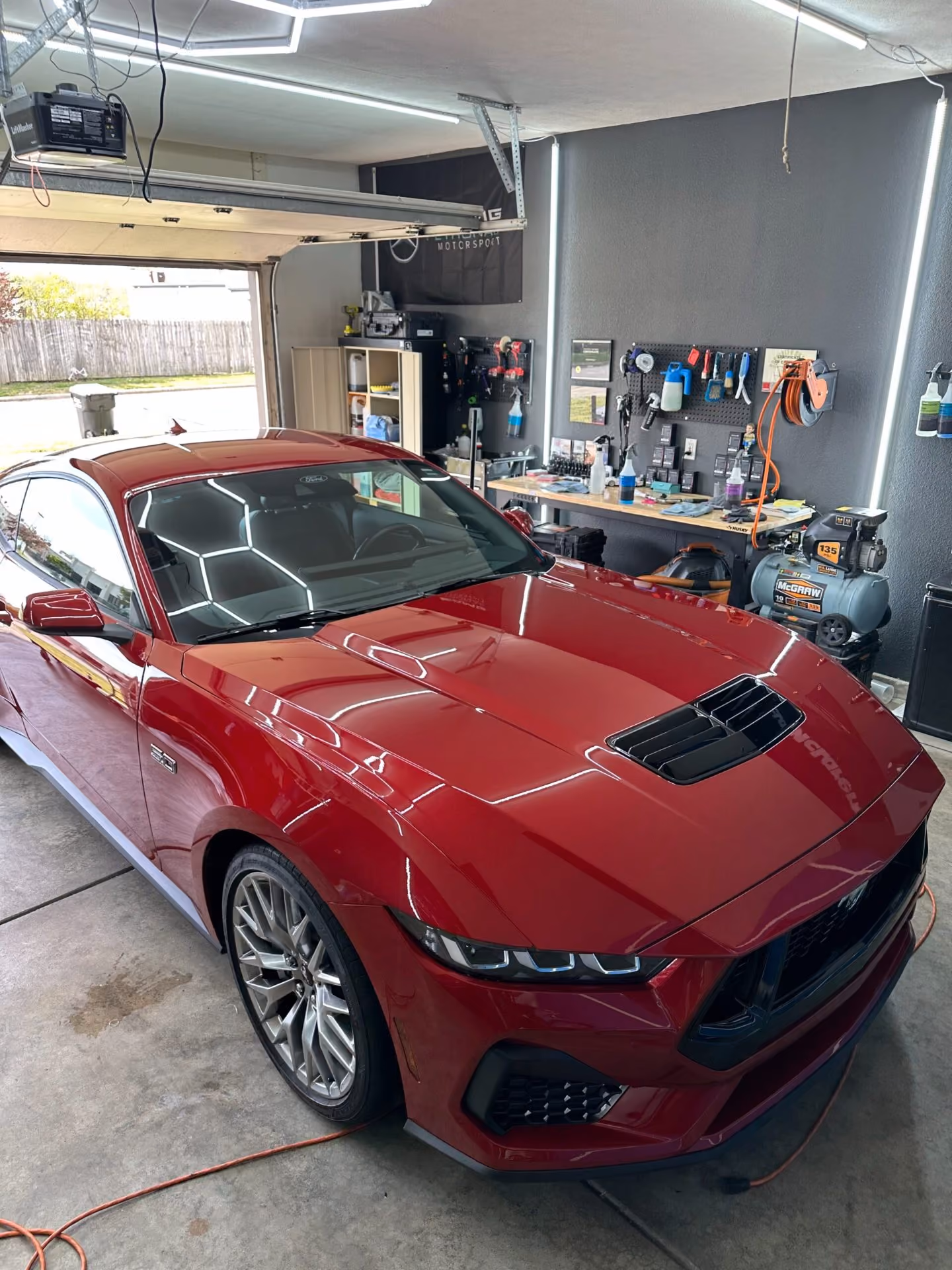 Ford Mustang after paint correction by Detail Armor