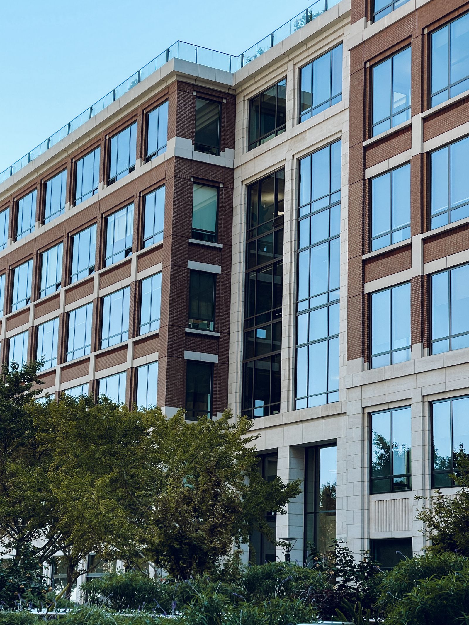 Commercial office building with rows of glass windows, a typical commercial window film job