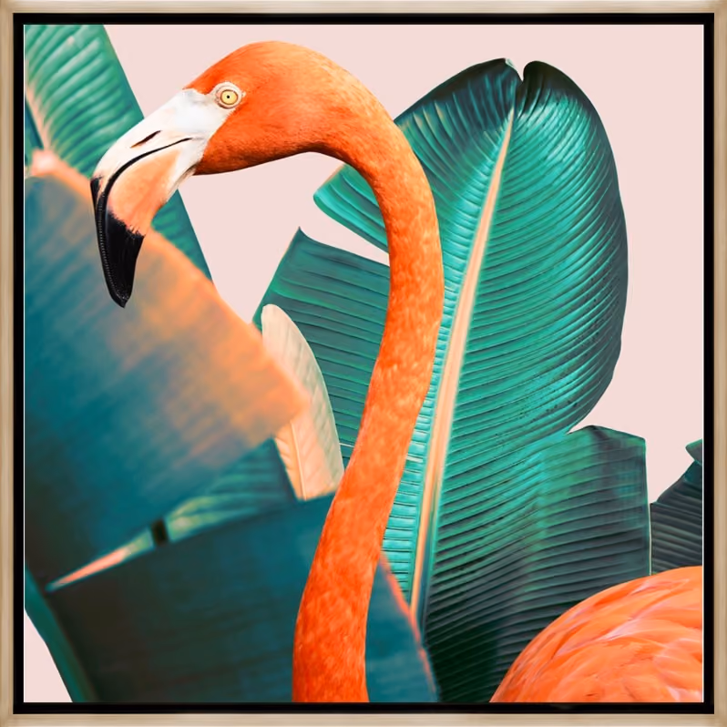 Tropical Tales I