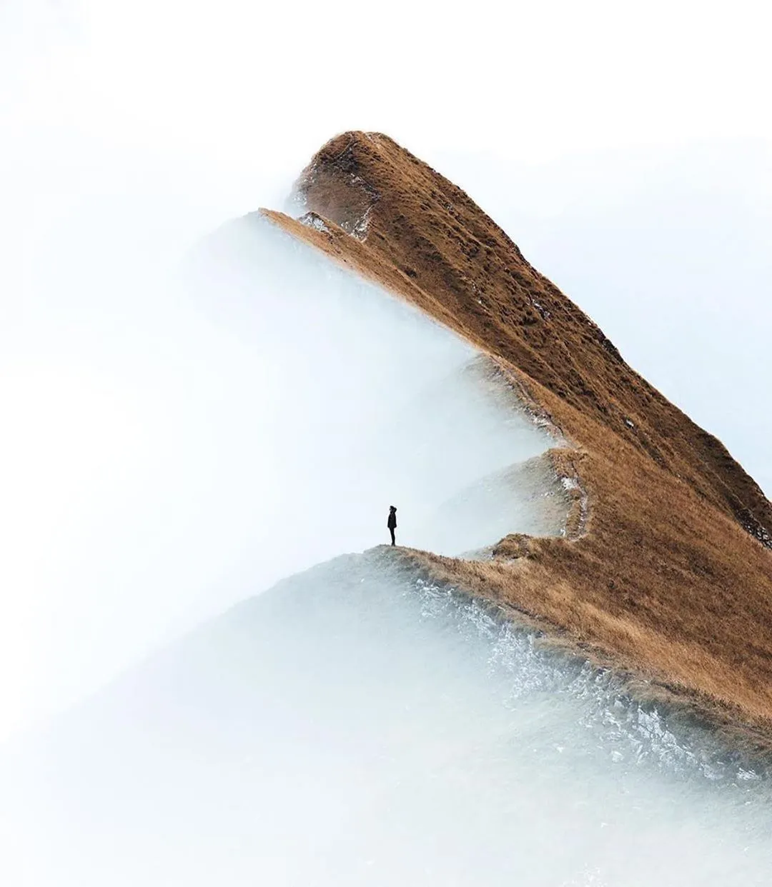 Cover image for the article How to brief a brand consultancy