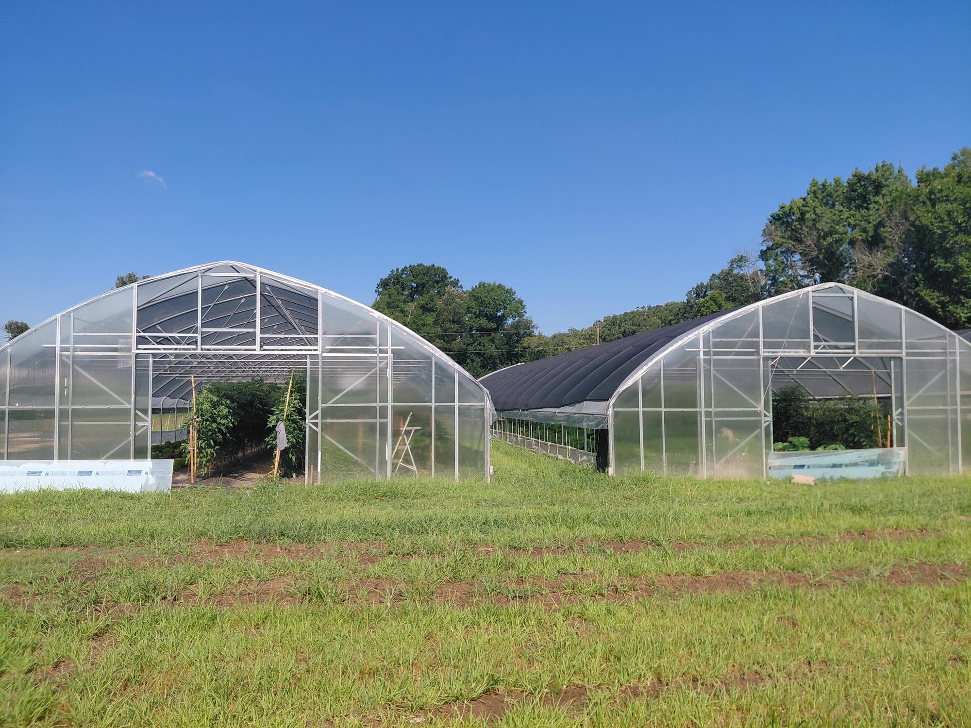 Greenhouses on an Arkansas farm