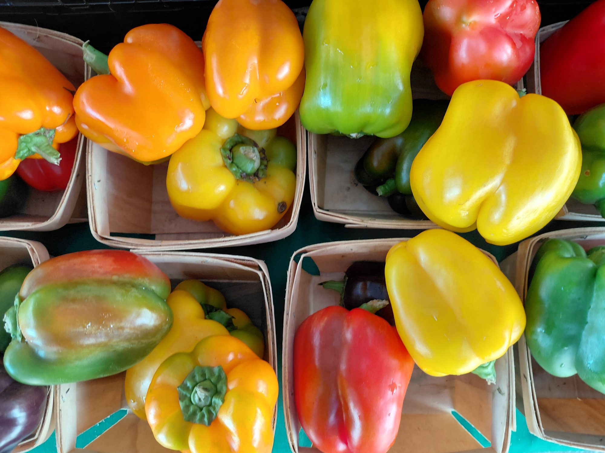 Assorted bell peppers in market baskets