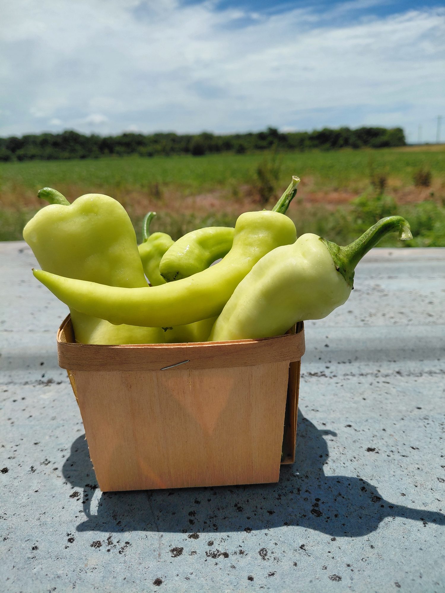 Banana peppers in a basket