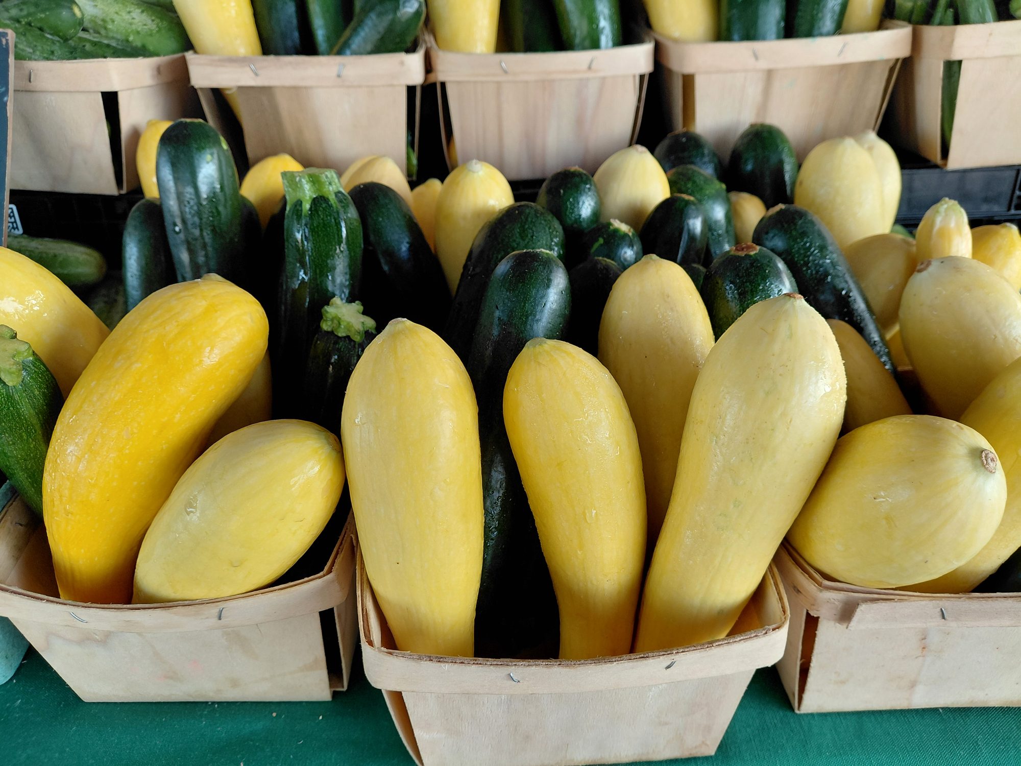 Yellow squash and zucchini in market baskets