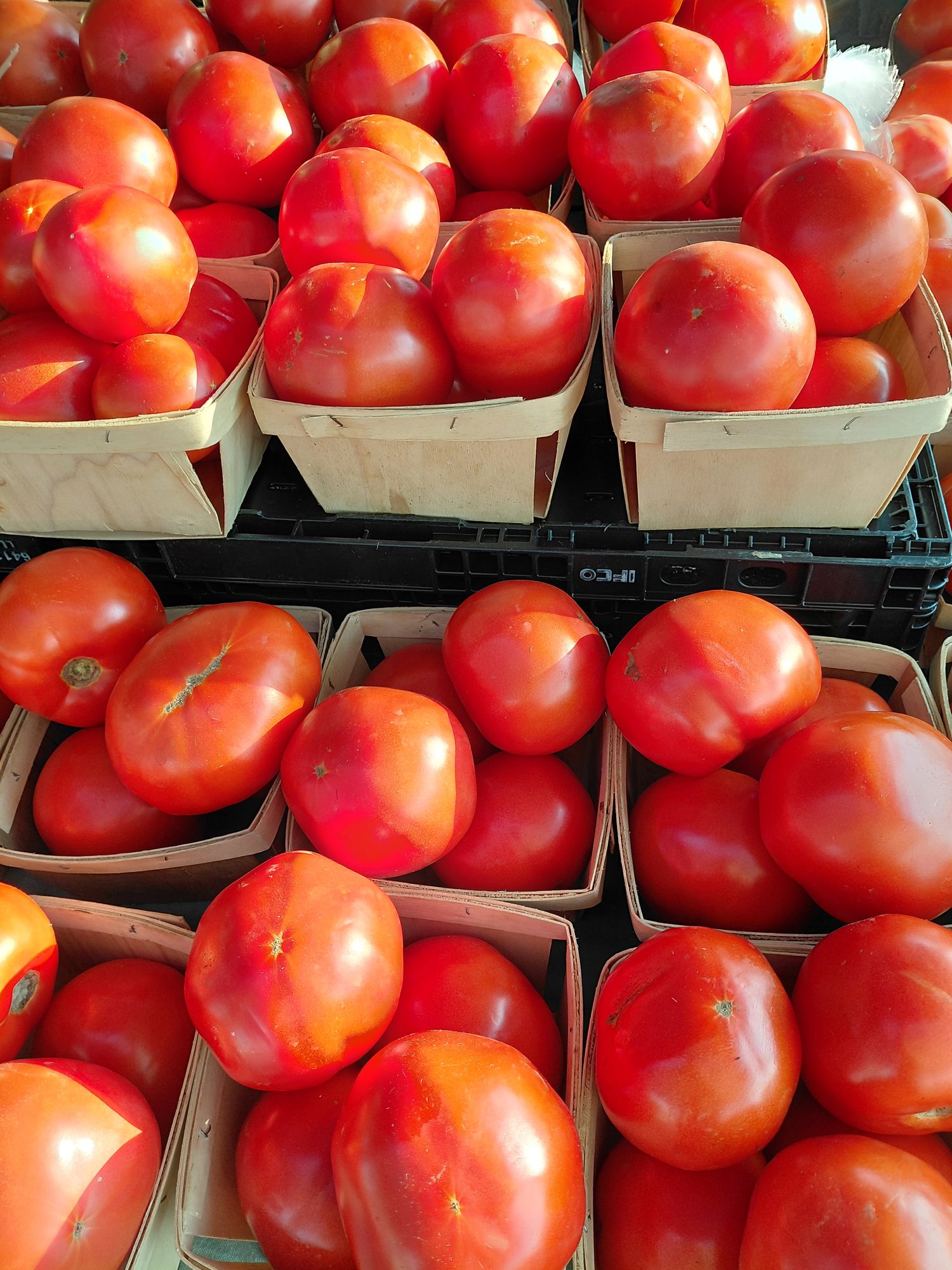 Tomatoes in market baskets
