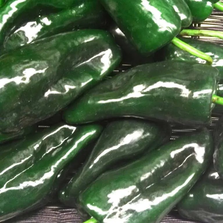 Poblano peppers