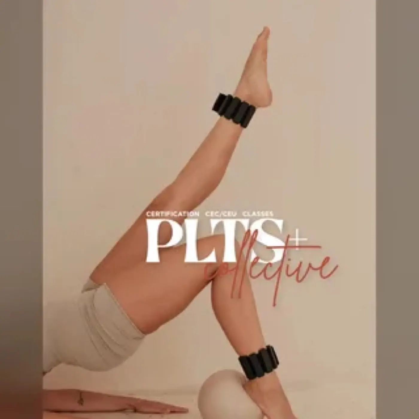 PLTS+ Collective artwork