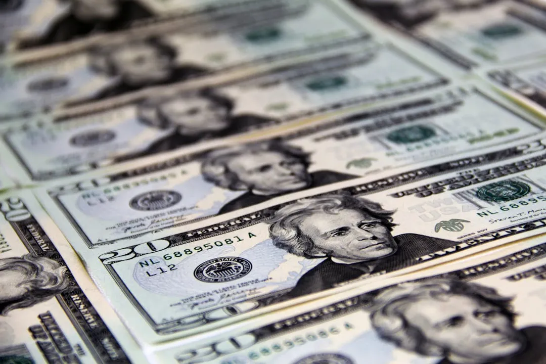 $20-dollar bills