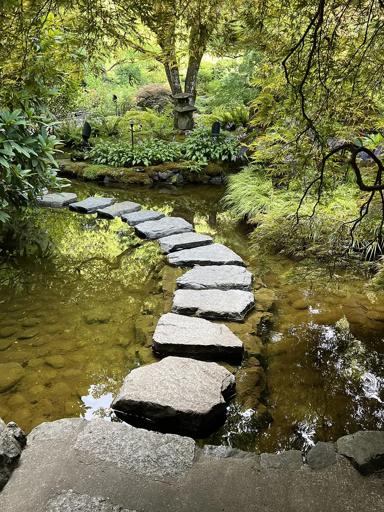 Stepping stones crossing a calm pond in a lush green Japanese garden