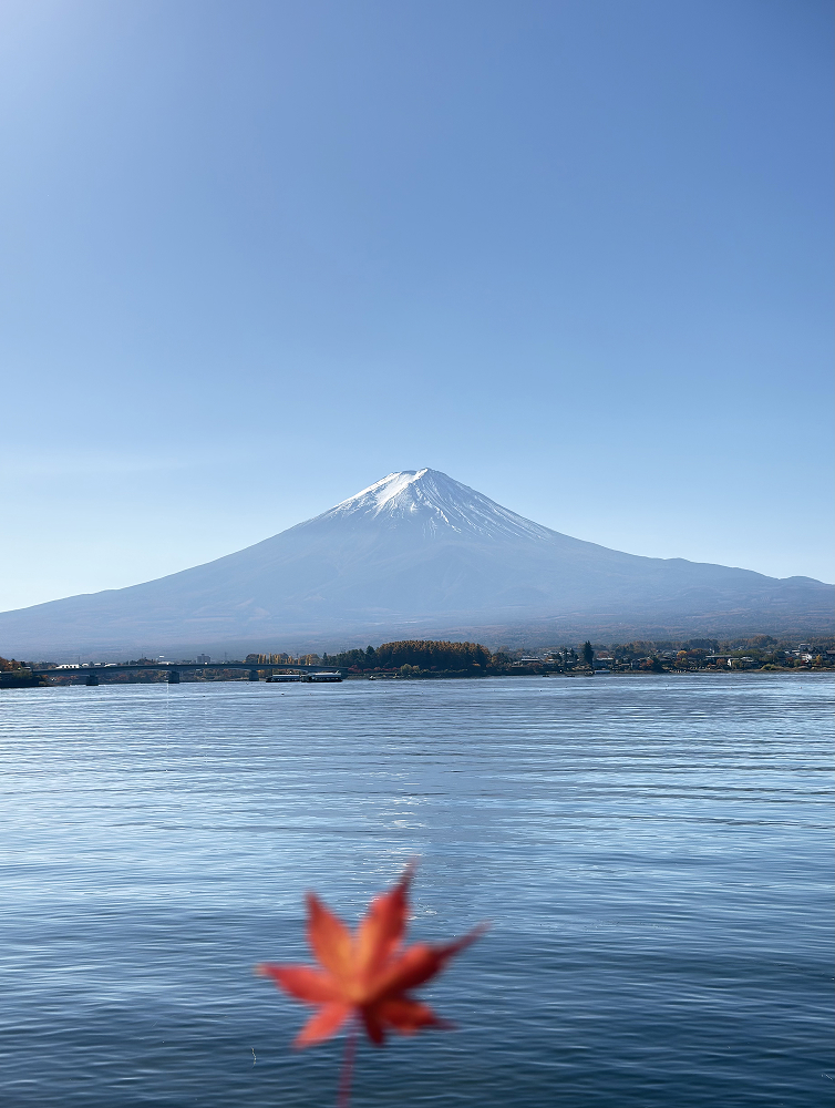 Snow capped Mount Fuji across a calm blue lake with a red maple leaf in the foreground