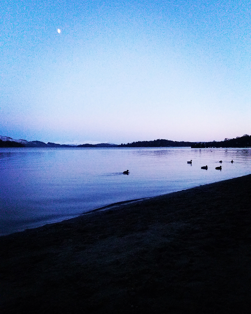 Moon rising over a calm dark lake with ducks on the water at twilight