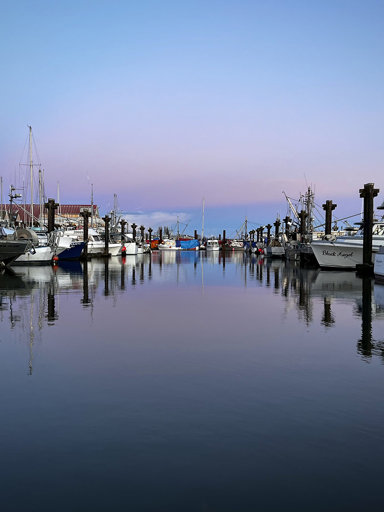 Marina with docked boats reflected in calm water under a lilac and pink dusk sky
