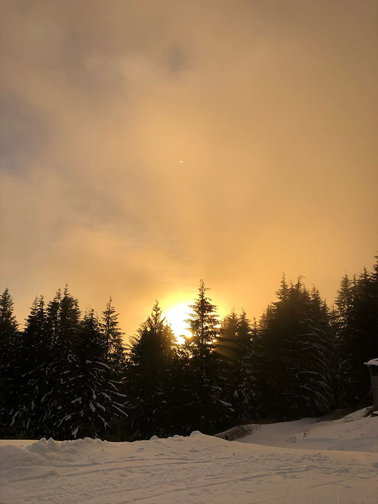 Hazy golden sun glowing through mist behind snow covered evergreens on a mountain slope