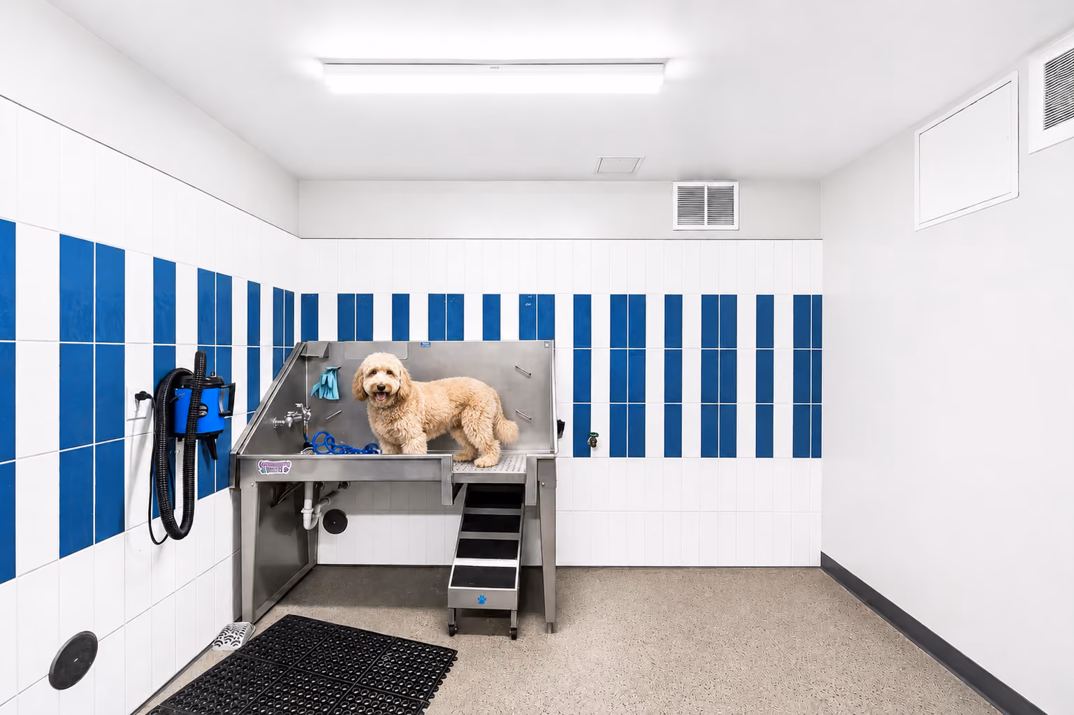 Pet spa at The Pitch Apartments