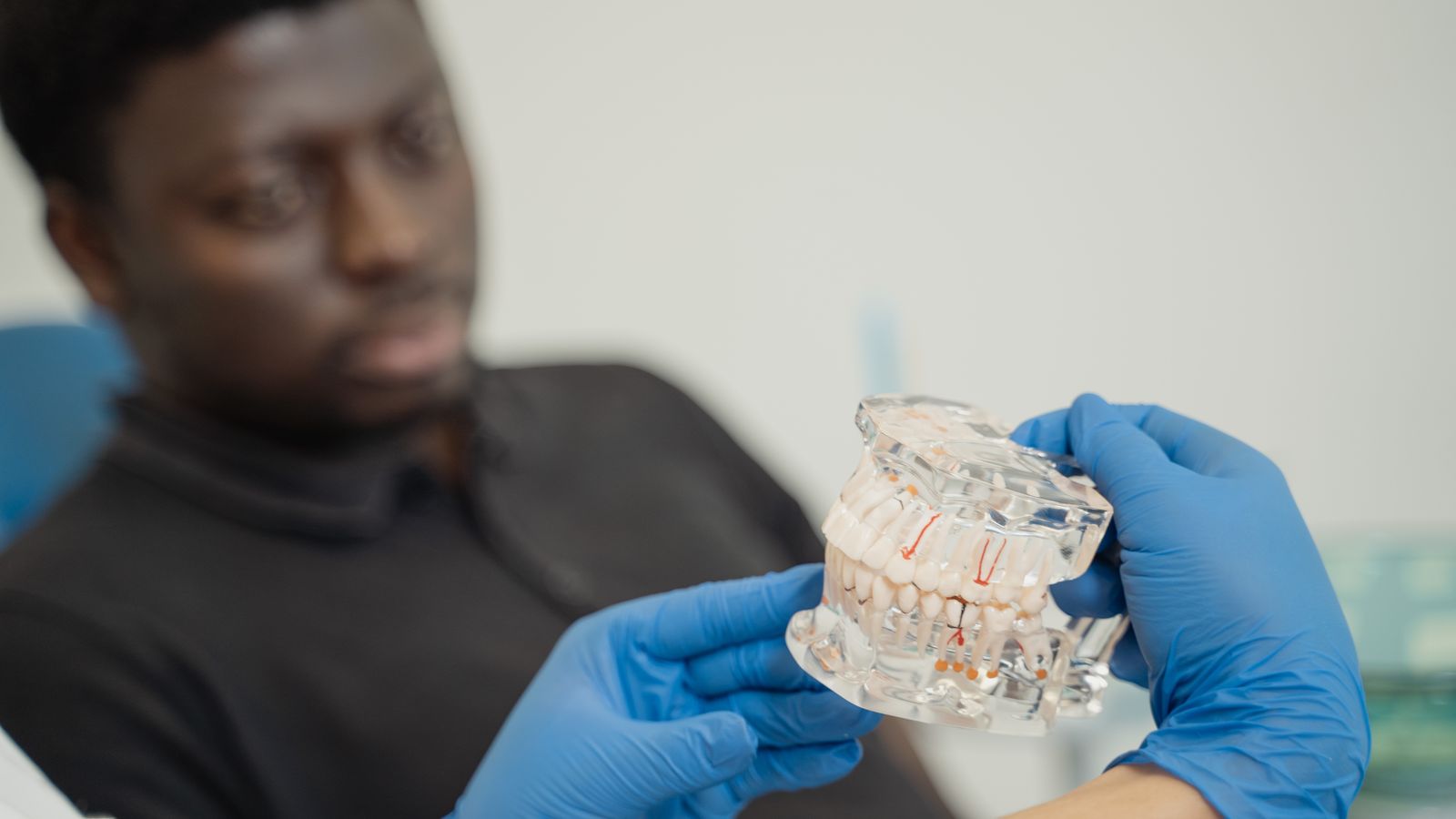 Dentist shows a dental model to a patient, wearing medical gloves