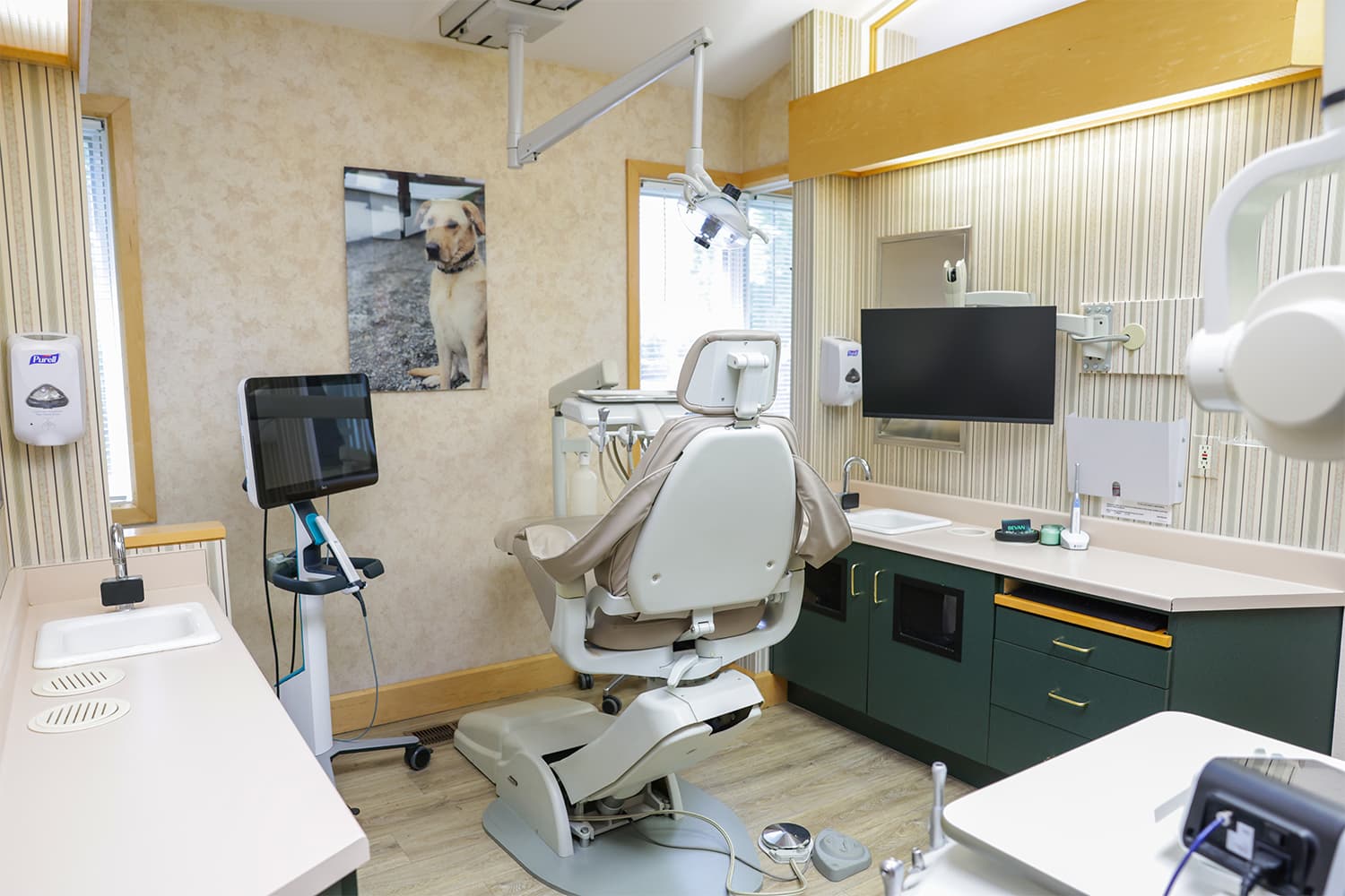 Treatment room at Bevan Dental in Napa, CA where Dr. Bevan places dental crowns
