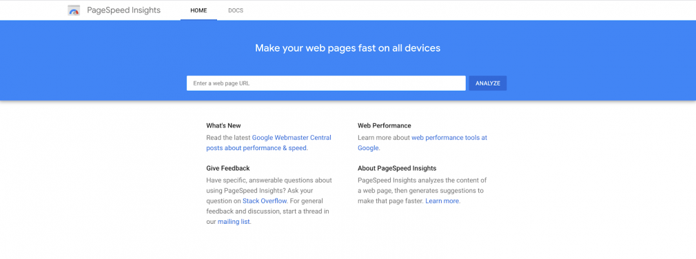 What PageSpeed Insights tool looks like