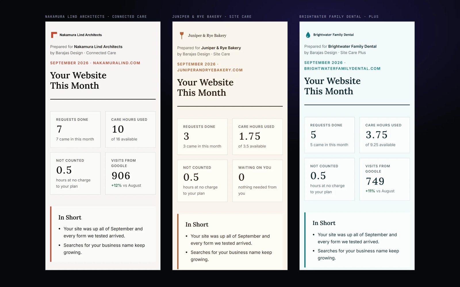 Three monthly reports in each client's own brand, showing requests done, care hours used and hours not counted (demo data, made-up clients)