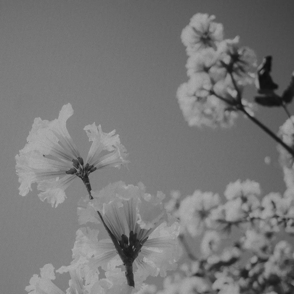 A calm scene evoking a quieter mind