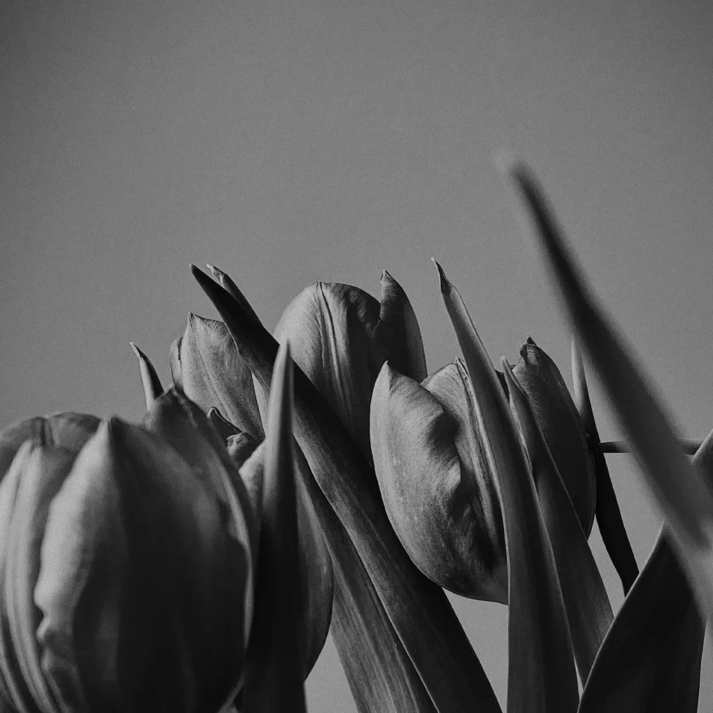 A flower in bloom, evoking growth and healing