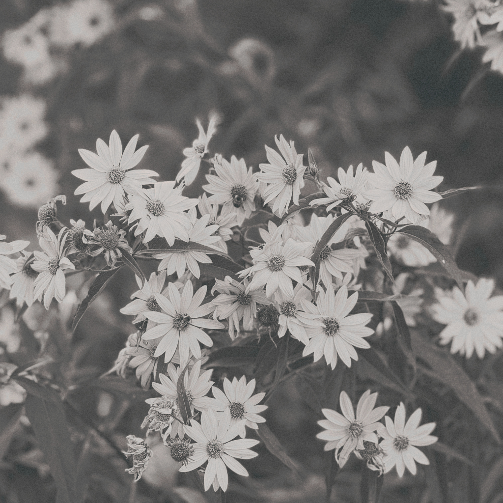 A quiet, reflective moment — depression therapy at CAP Therapy