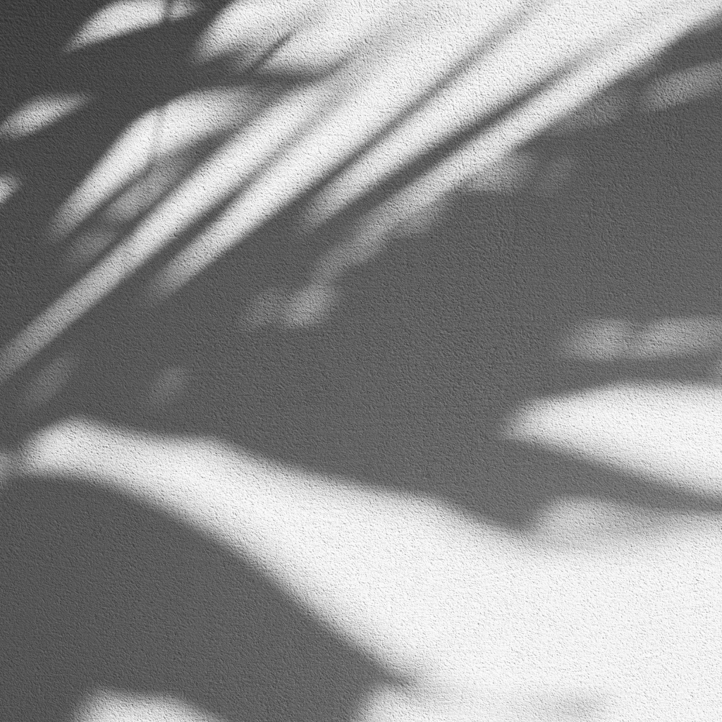 Quiet natural imagery evoking holistic, trauma-informed therapy in NYC
