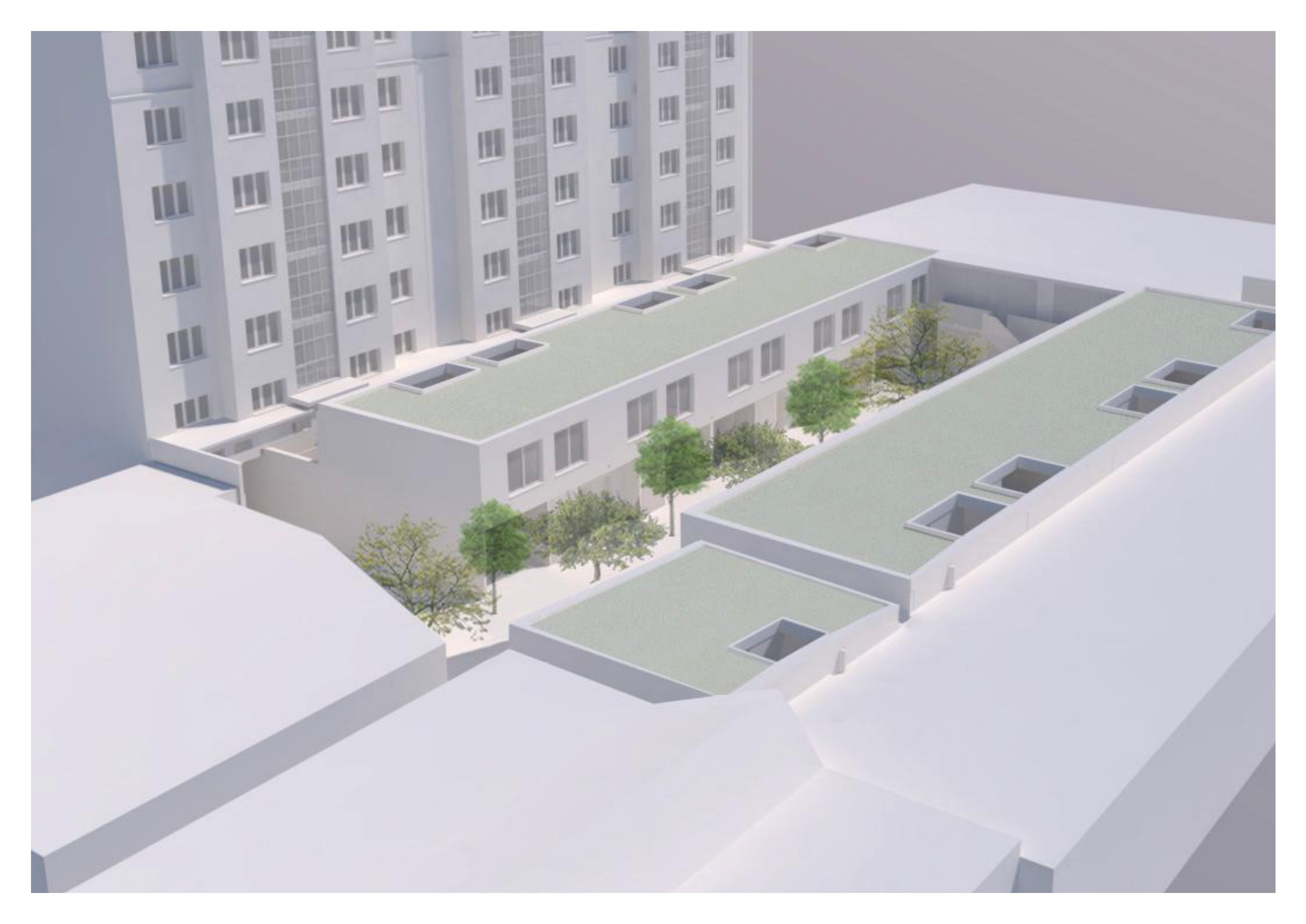 Pâquis 43–47 · Étude de densification de la cour