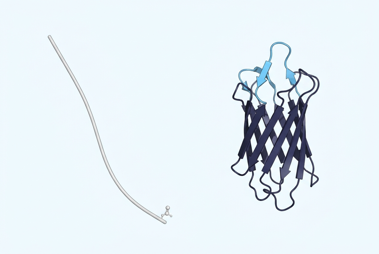 A filamentous phage beside a single designed VHH structure