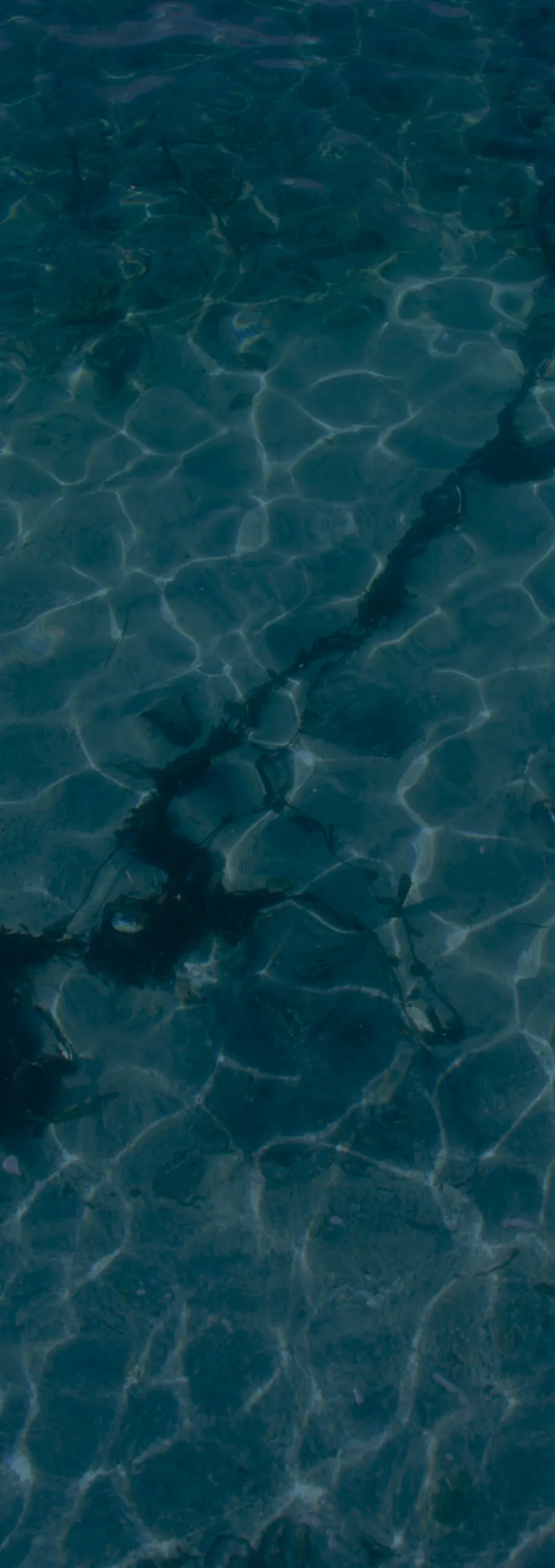 Clear water surface with light reflections