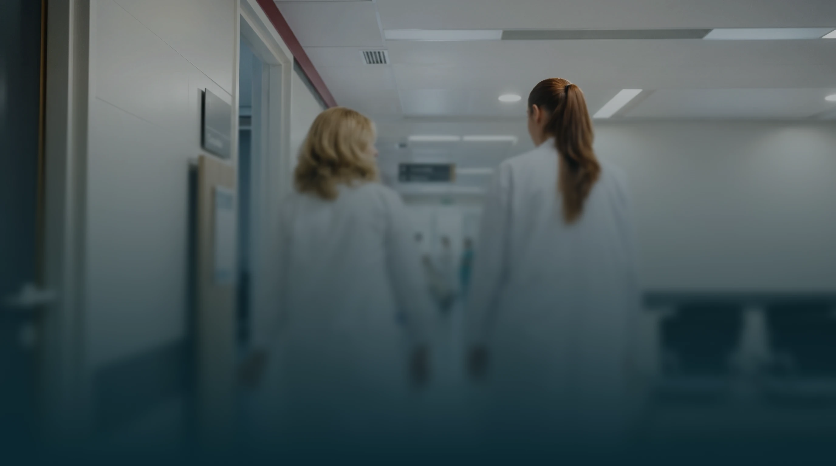 Healthcare professional looking at a screen