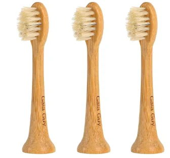 Oral Hygiene