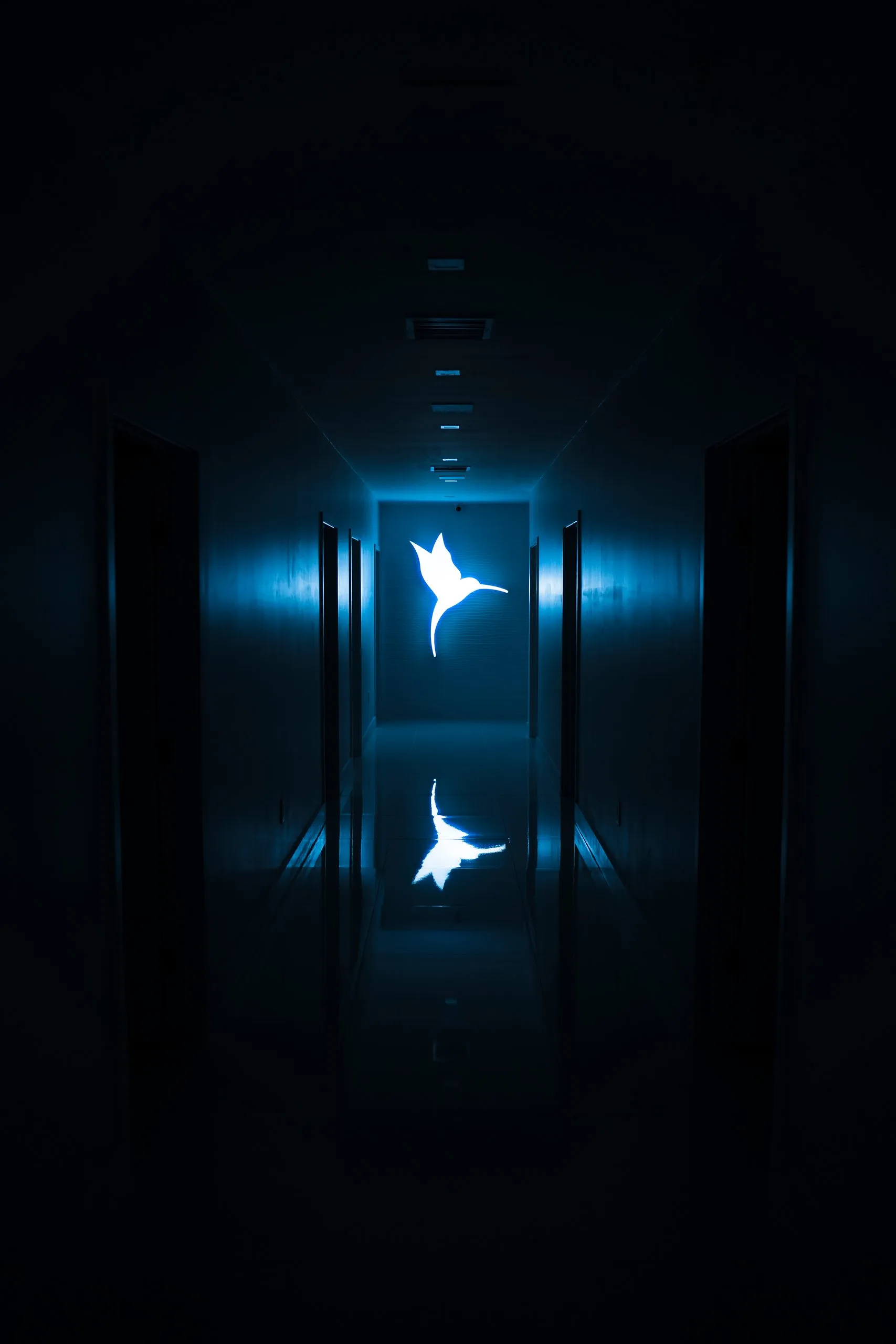 Hummingbird logo glowing blue at the end of a darkened hallway at Cosmetica Med Spa