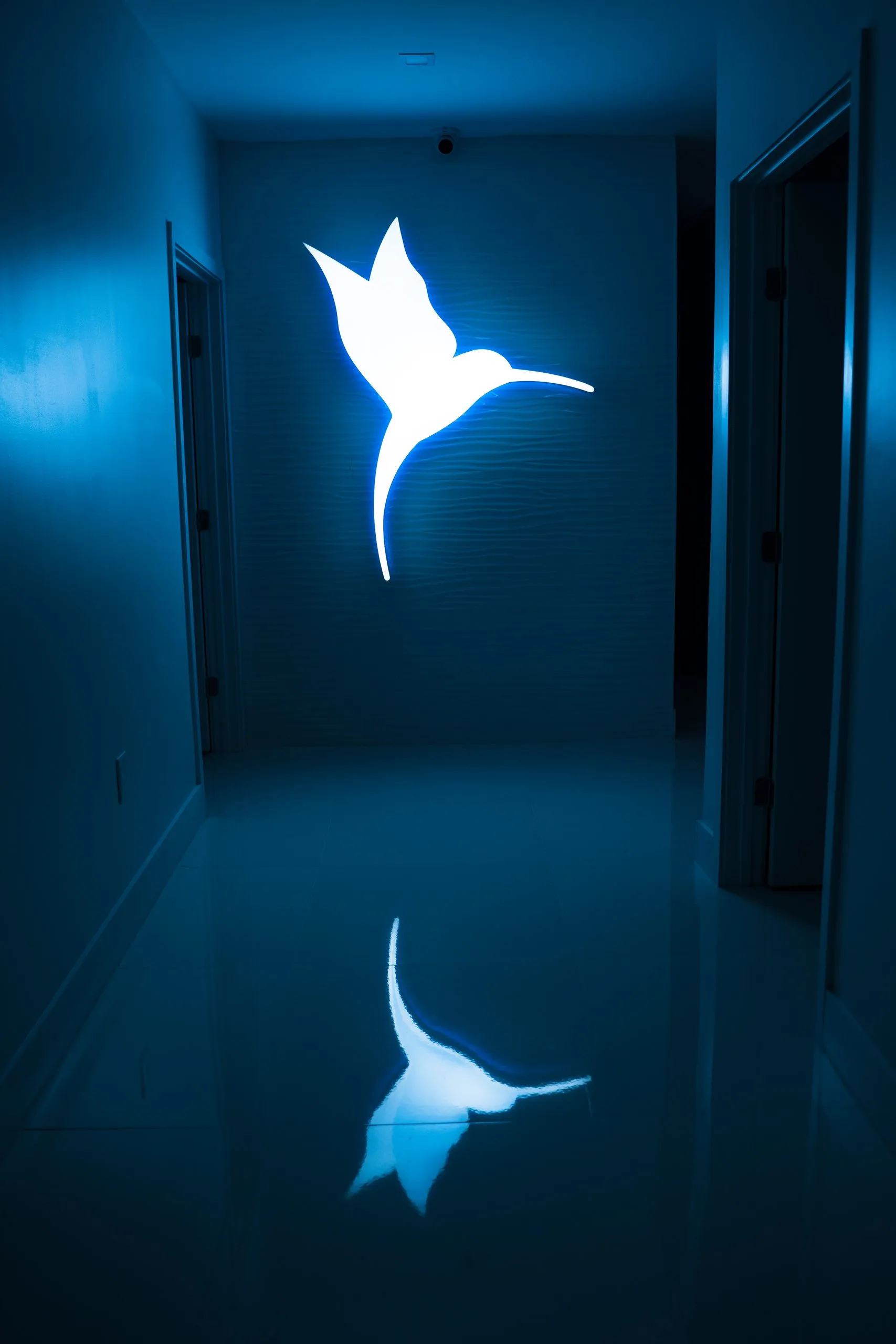Glowing hummingbird logo reflected on the floor of a blue-lit hallway at Cosmetica Med Spa