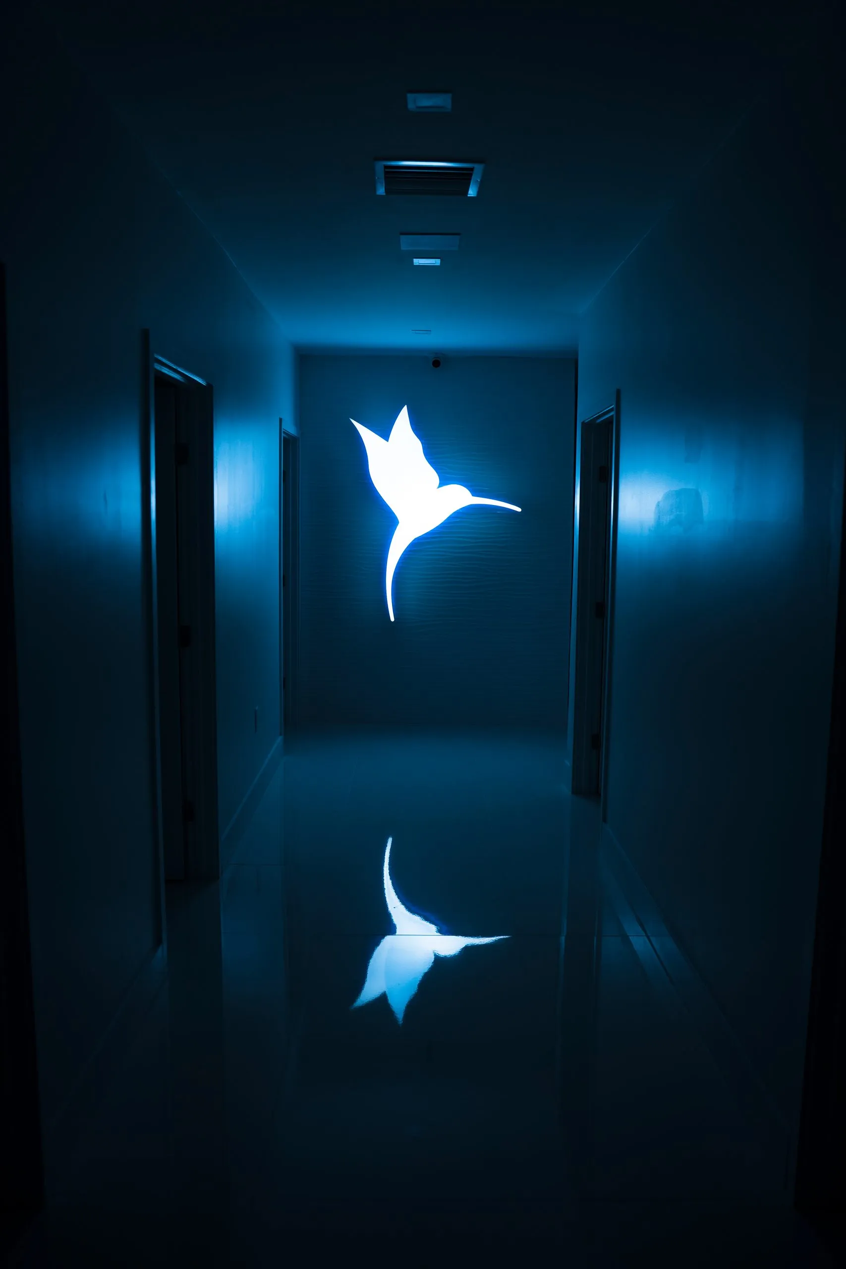 Dimly lit hallway with the illuminated hummingbird logo on the far wall at Cosmetica Med Spa