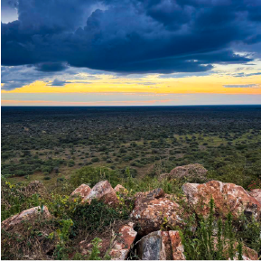 Wide African horizons — Lessing & Co.