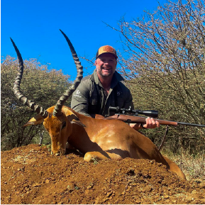 Impala hunt — Lessing & Co.