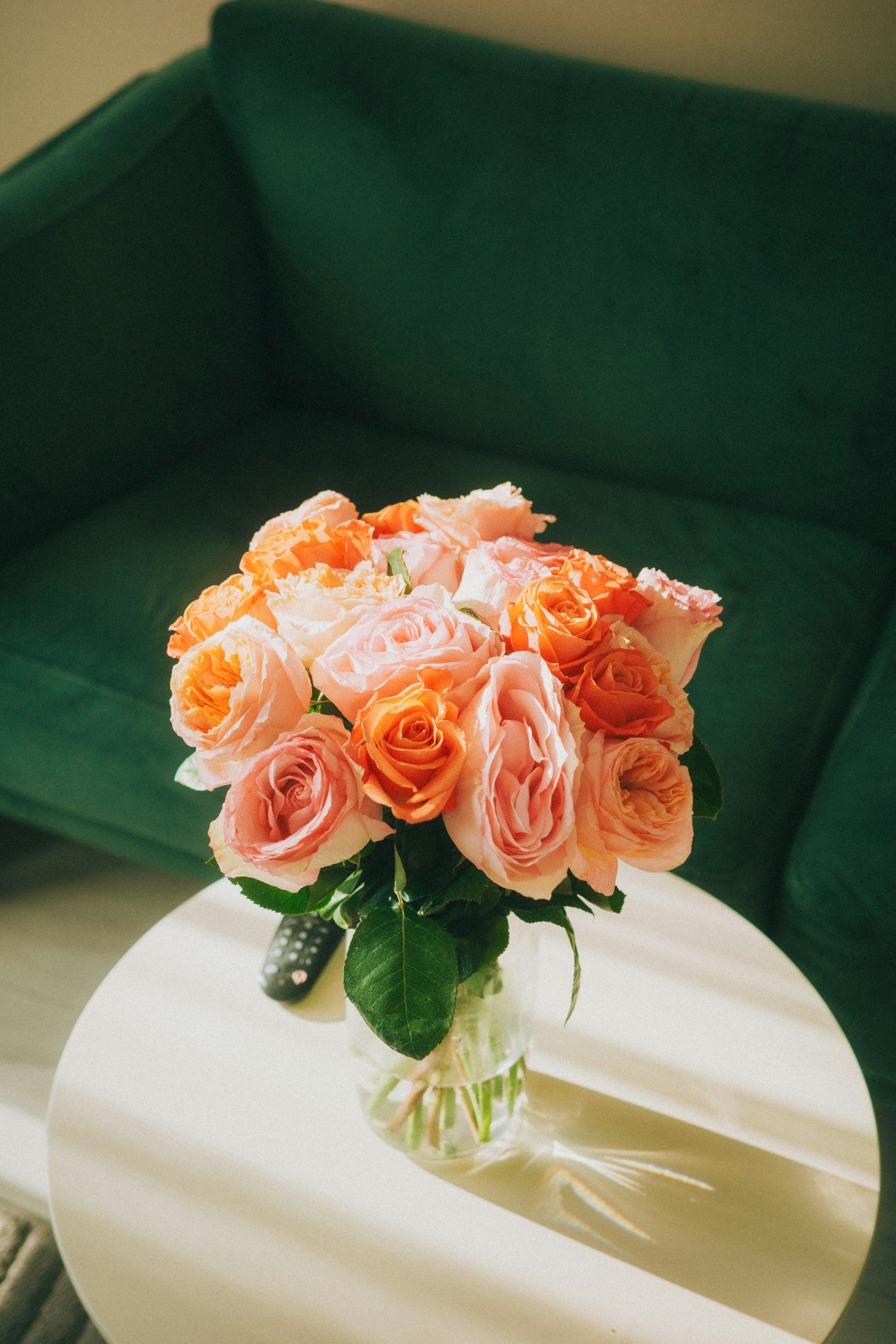Morning roses
