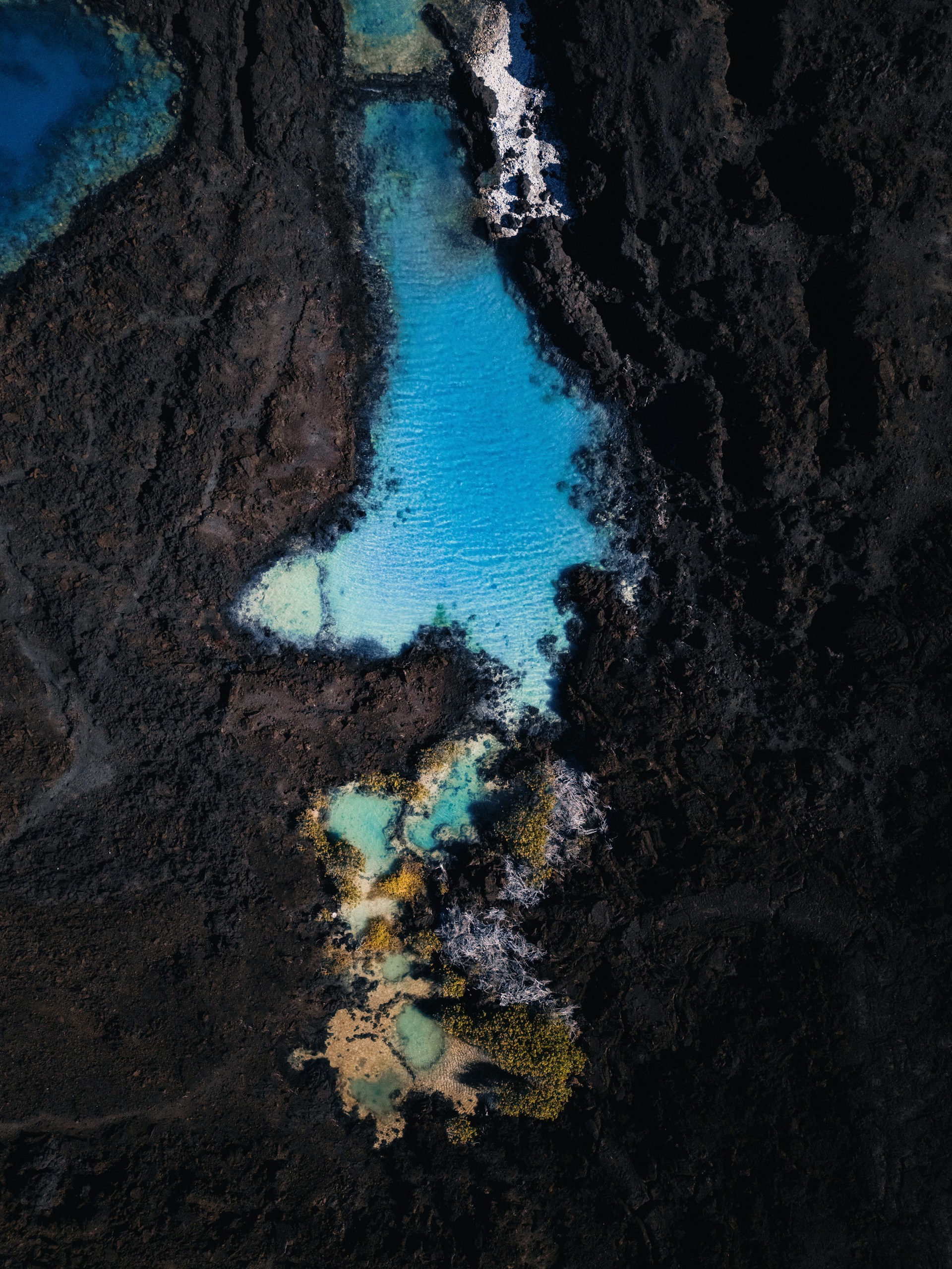 Coastal contrast