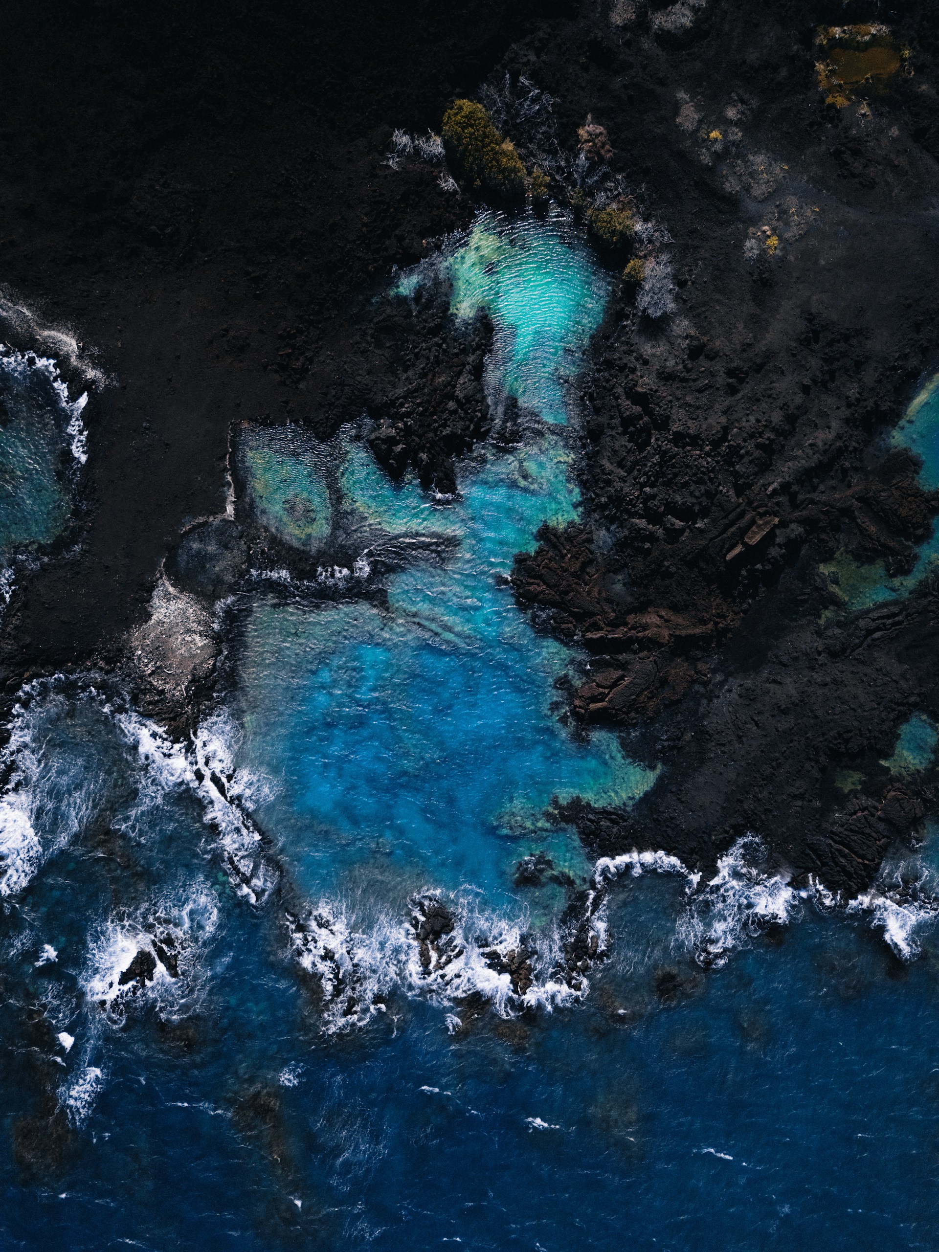 Coastal contrast