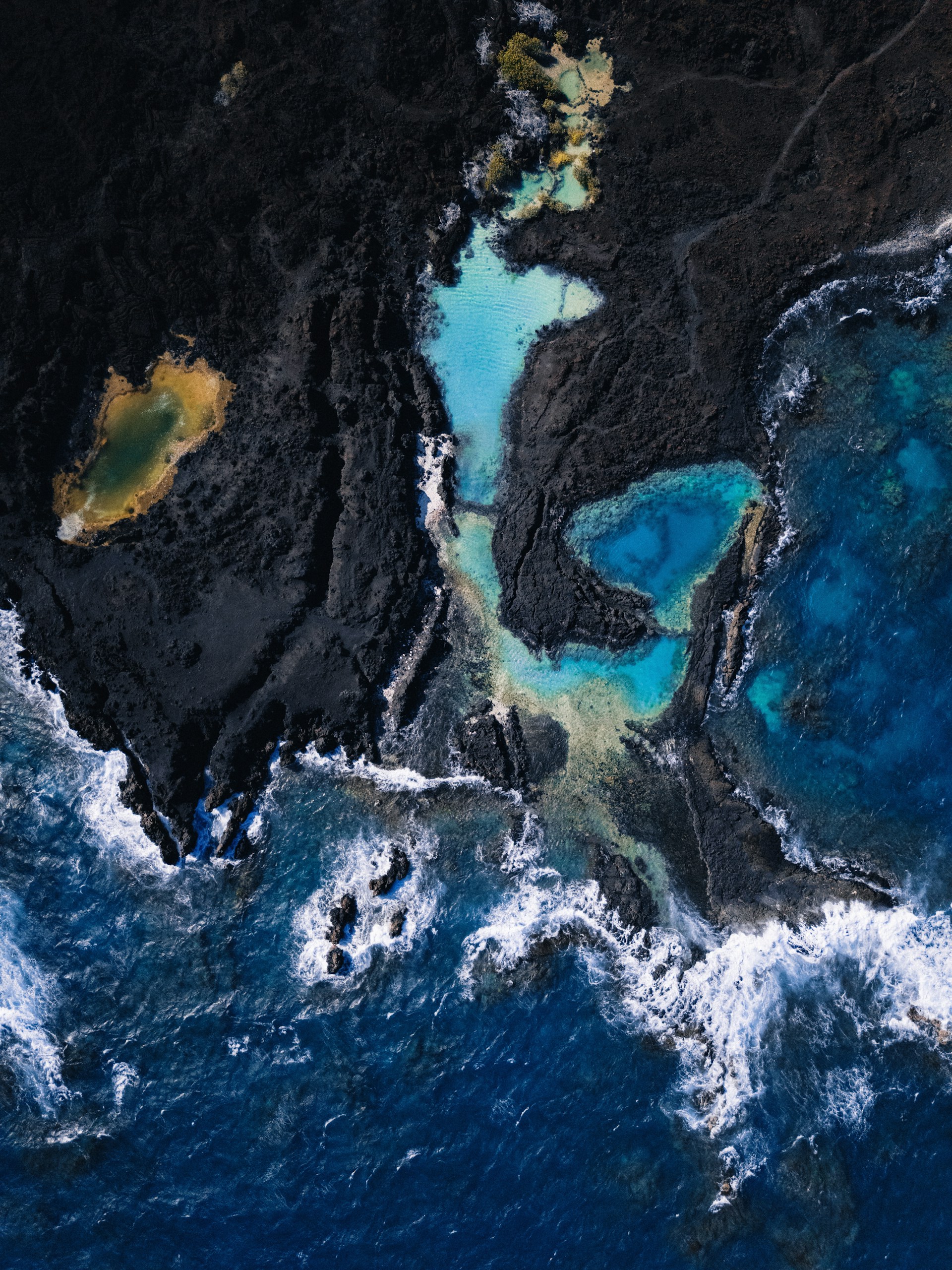 Coastal contrast