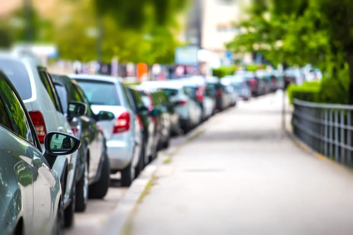 Row of cars parked along a curb beside a tree-lined sidewalk