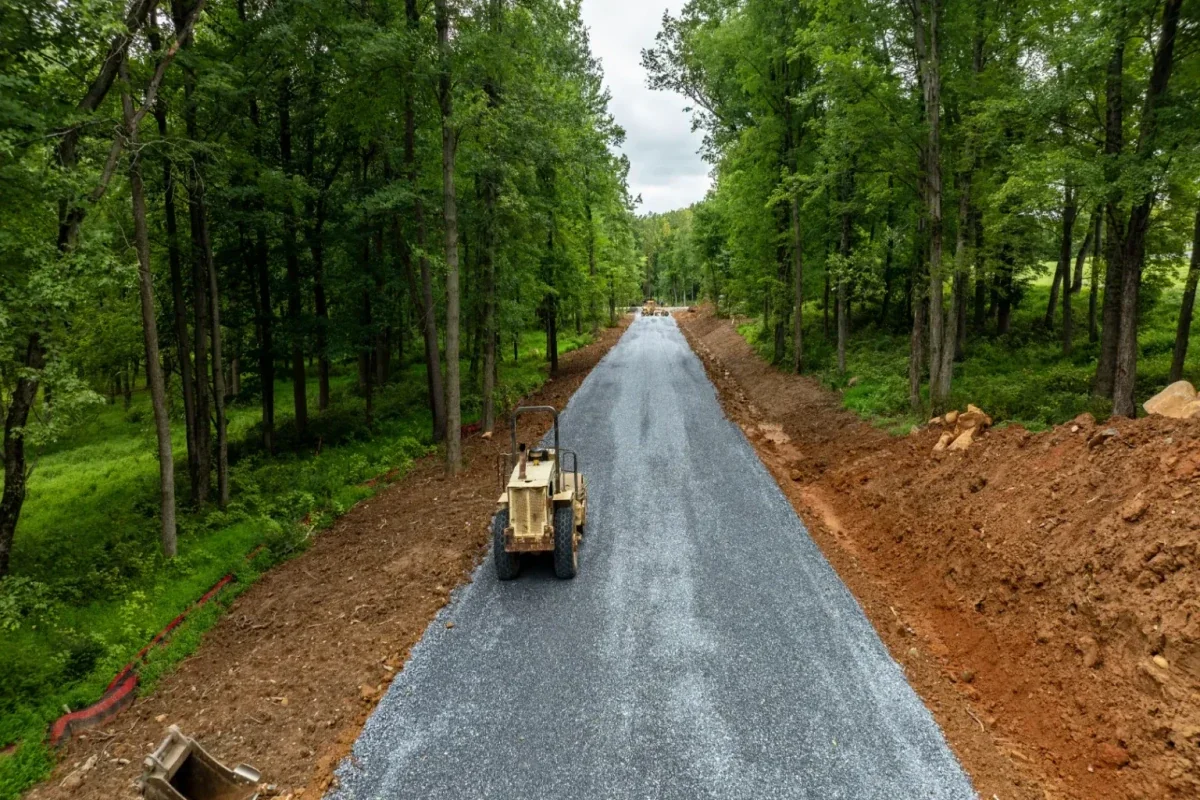 Freshly graveled road cutting through a green forest