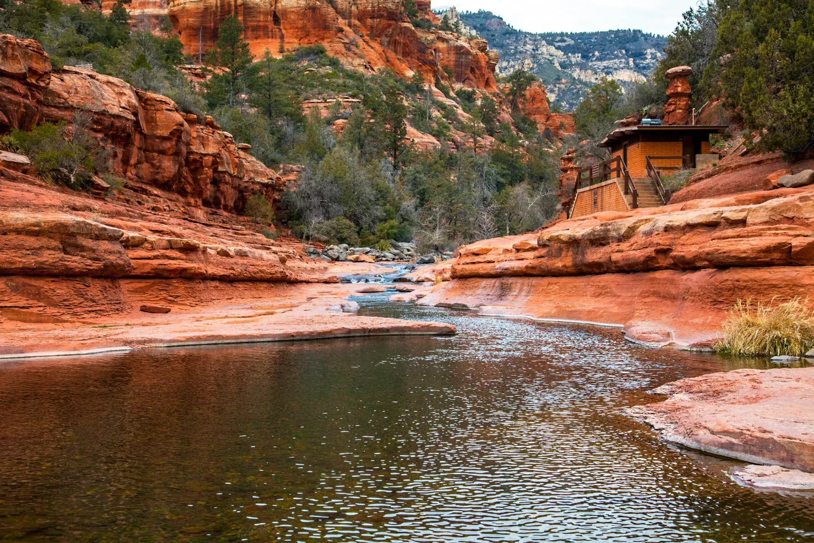 Oak Creek flowing through a red rock canyon near Slide Rock State Park.