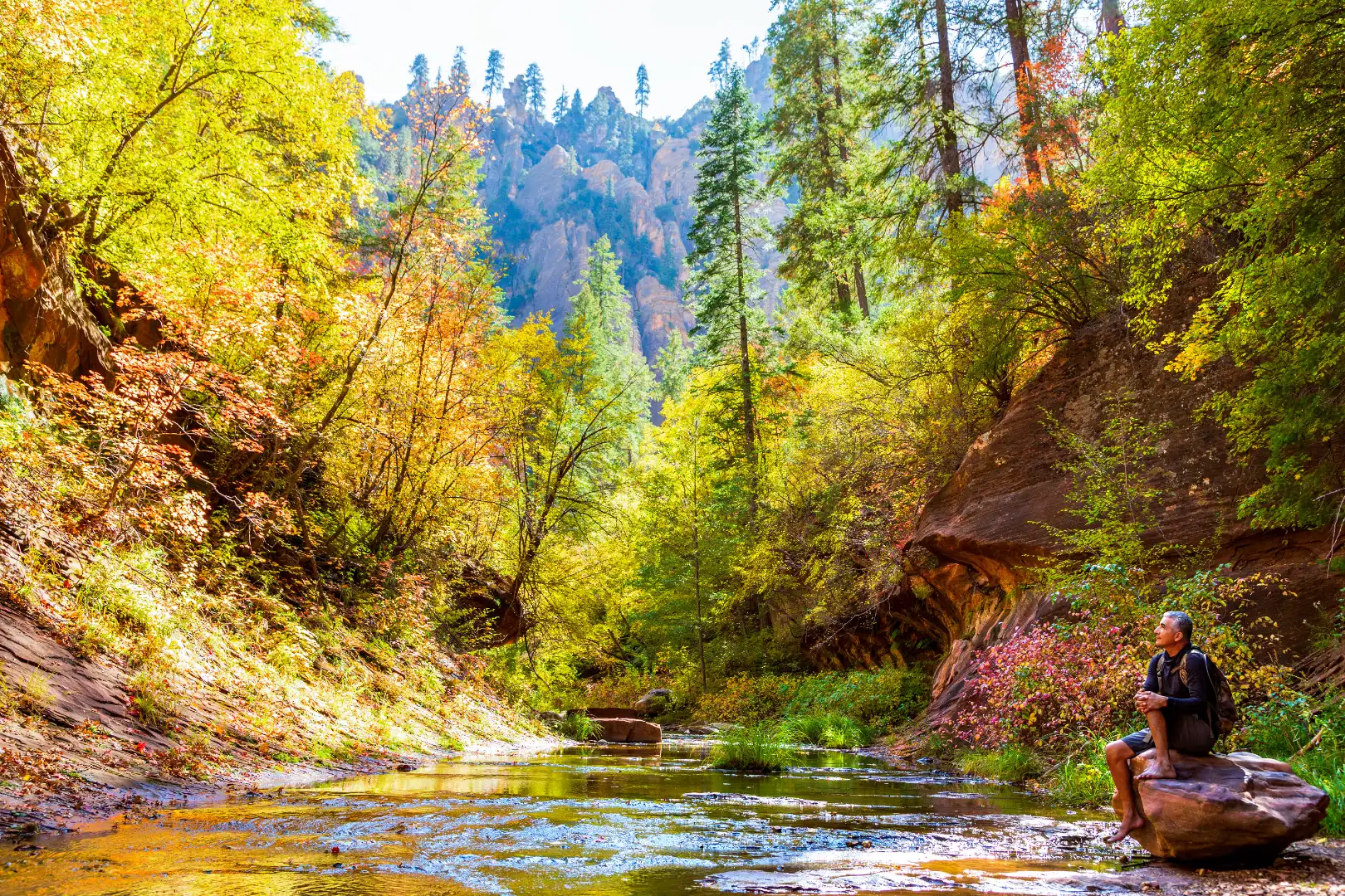 Dog-friendly hiking near Sedona