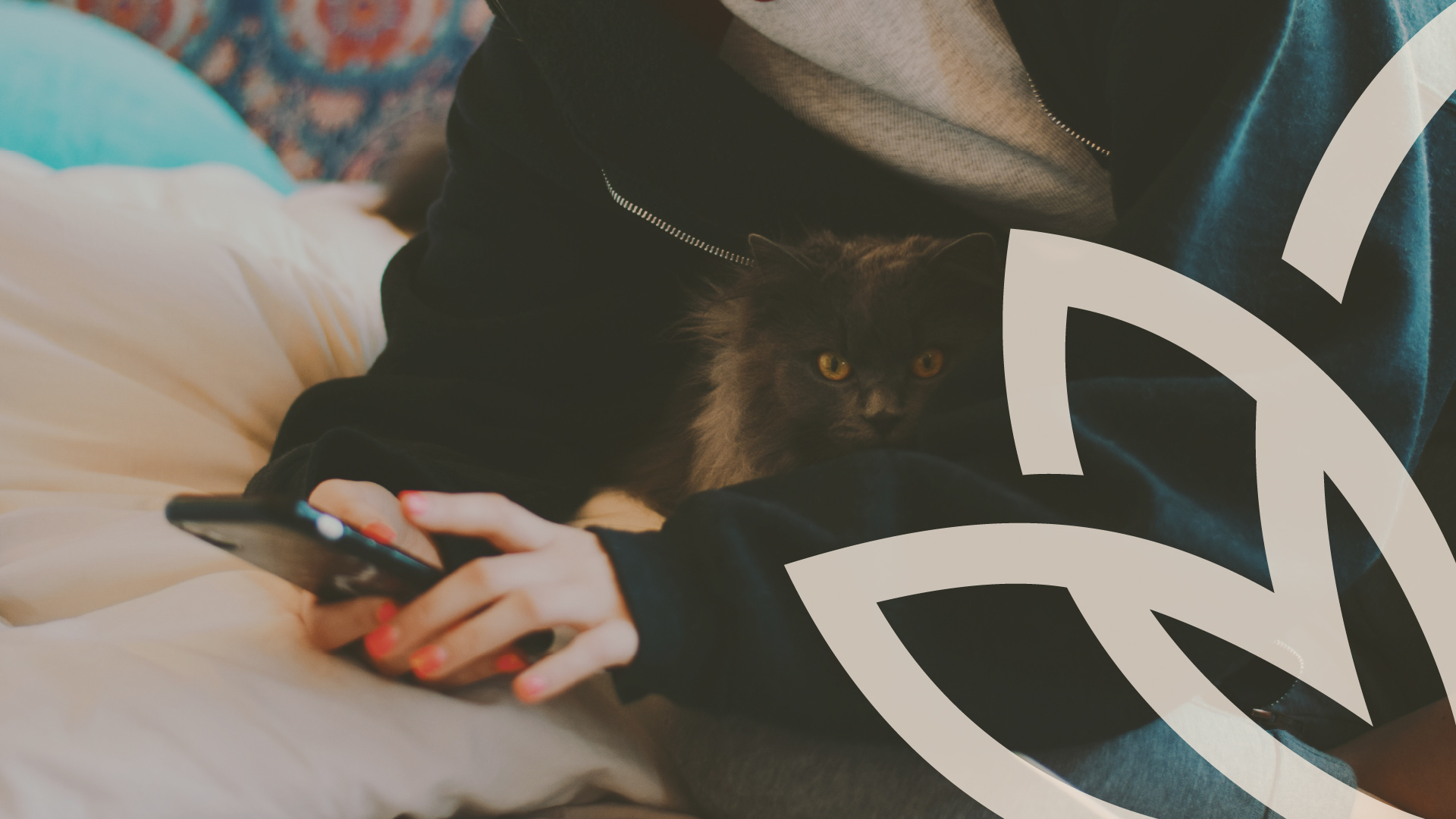 Person holding a phone with a cat resting on their lap