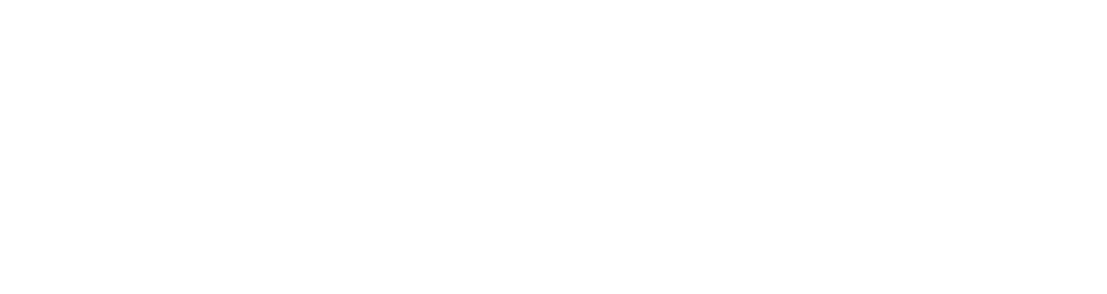 vidomi